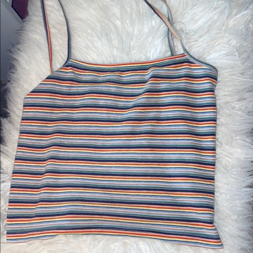 Brandy Melville rainbow crop top